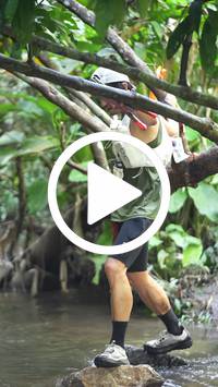 BIB:  <button type="button" onclick="openModal(27548024)" class="btn btn-primary btn-sm float-right" data-toggle="modal" data-target=".modal-high-quality">
                <i class="fa fa-download"></i> Download
                </button>